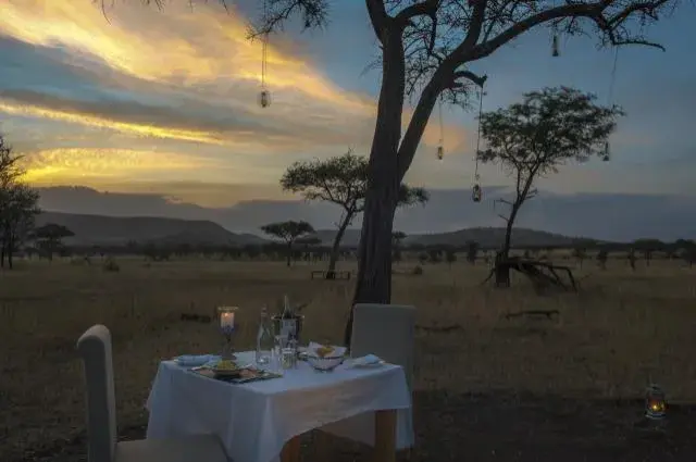 Tailor Made Holidays & Bespoke Packages for Nimali Central Serengeti